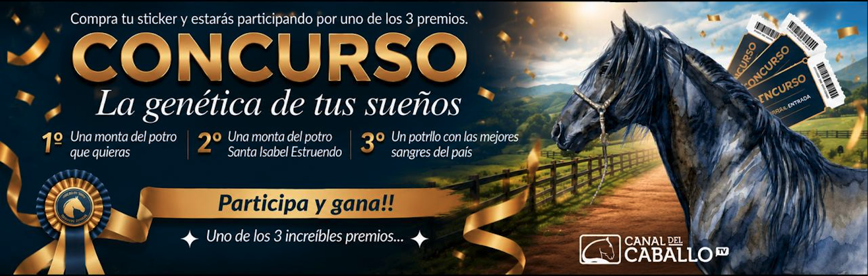 Concurso Canal del Caballo