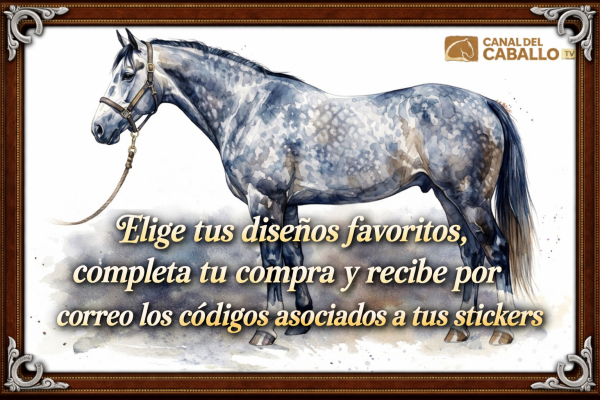 Caballo y diseño personalizados